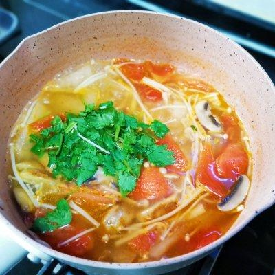 西红柿菌菇汤家常做法，家喻户晓的西红柿菌菇蛋汤