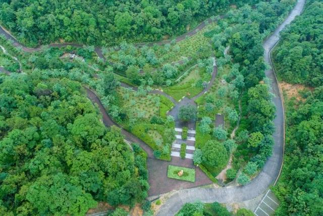 巽寮湾附近游玩攻略，出发前必看巽寮湾