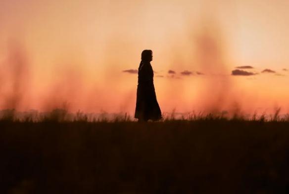 适合周末一起看的电影，5部适合亲子一起看的趣味电影