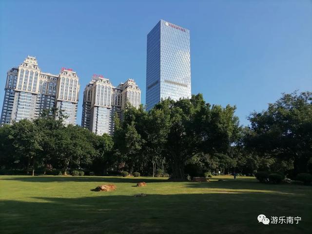 南宁周边十个小众景点，南宁市内有一处绿野仙踪的森林秘境