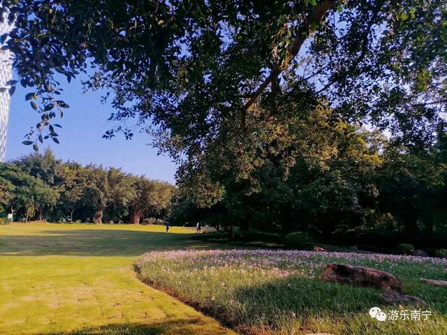 南宁周边十个小众景点，南宁市内有一处绿野仙踪的森林秘境