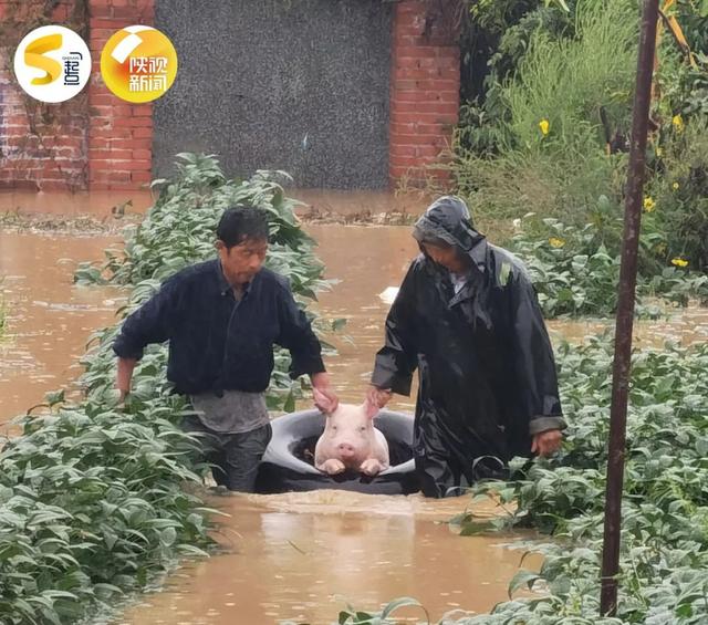 陕西进入多雨时段局地有大暴雨，陕西多地暴雨交通中断