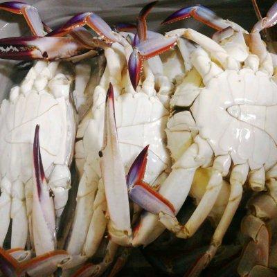 梭子蟹的家常做法，梭子蟹的家常做法 清蒸