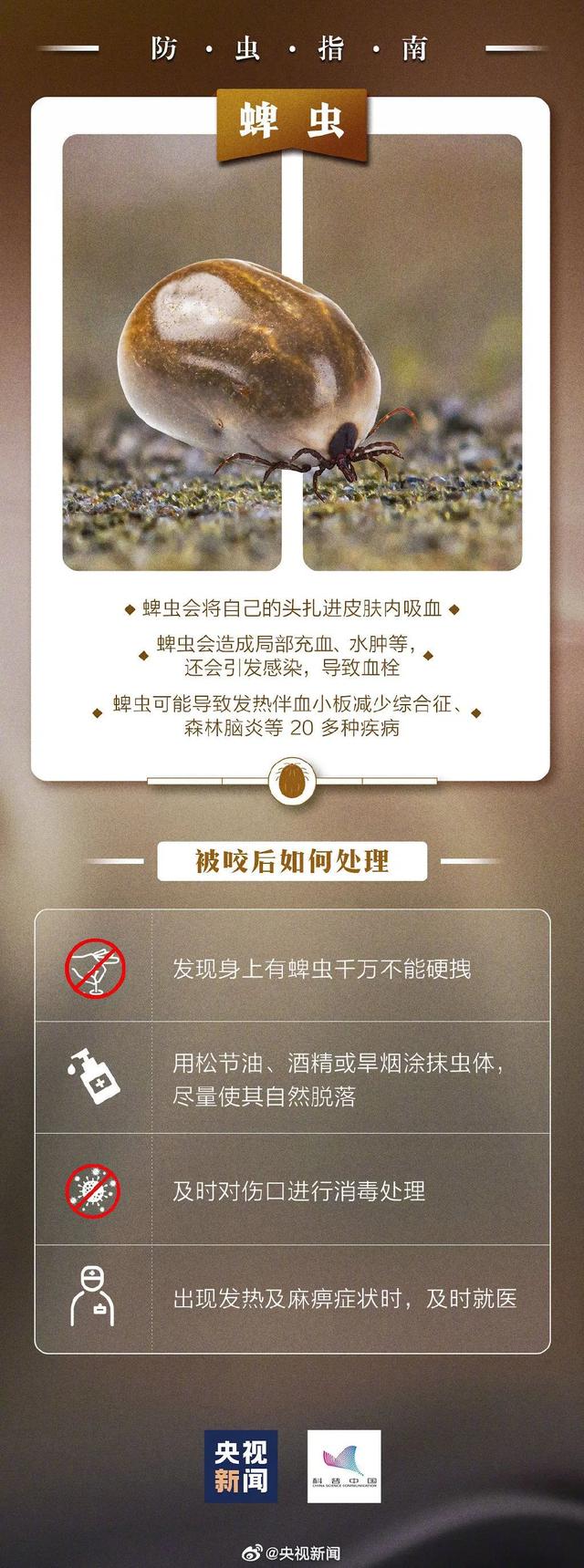 虫子咬了后红肿并且还蔓延，被虫子咬了红肿很痒蔓延（小伙被虫子咬一口手臂一路红肿）