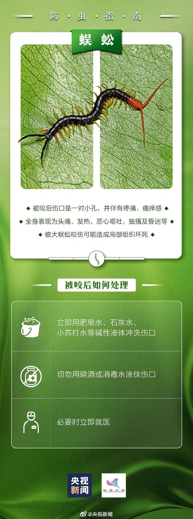 虫子咬了后红肿并且还蔓延，被虫子咬了红肿很痒蔓延（小伙被虫子咬一口手臂一路红肿）