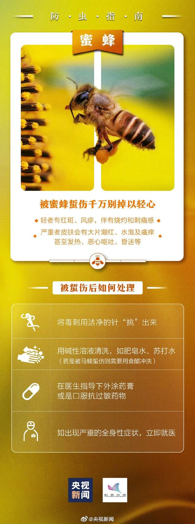 虫子咬了后红肿并且还蔓延，被虫子咬了红肿很痒蔓延（小伙被虫子咬一口手臂一路红肿）