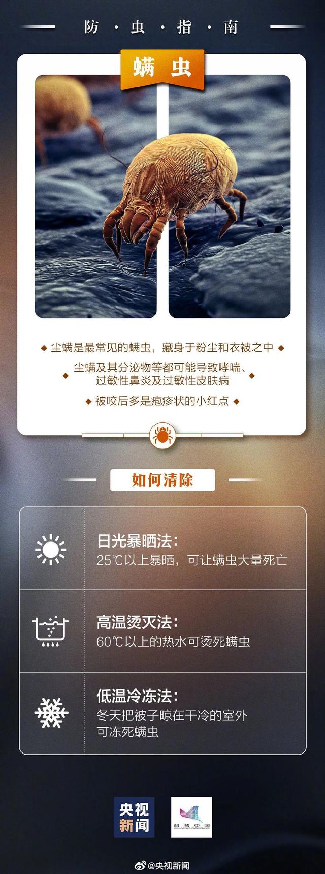 虫子咬了后红肿并且还蔓延，被虫子咬了红肿很痒蔓延（小伙被虫子咬一口手臂一路红肿）