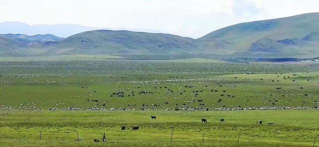 三江源在哪里指的是什么，为什么是三江源