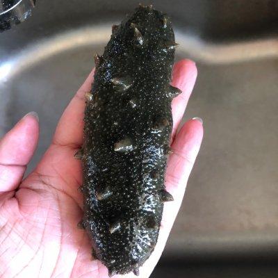 速发干海参做法，做了十年的海参发制