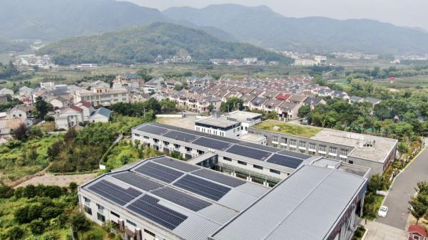 橄榄型社会结构，对于浙江奋力打造共同富裕的理解