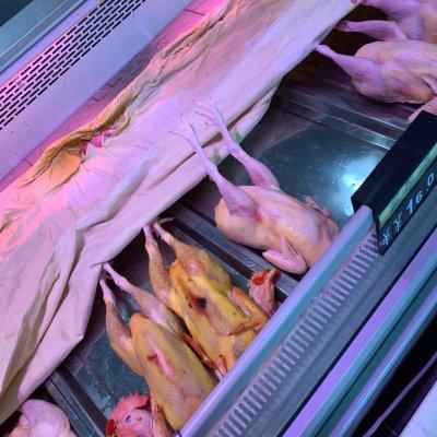 冬瓜炖鸡汤最佳做法，绝招全在这