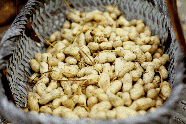 四川眉山美食攻略，最受欢迎的居然是它