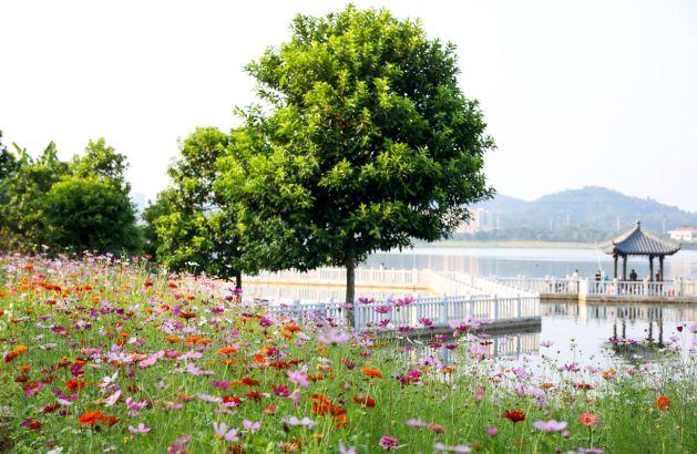 巽寮湾附近游玩攻略，出发前必看巽寮湾