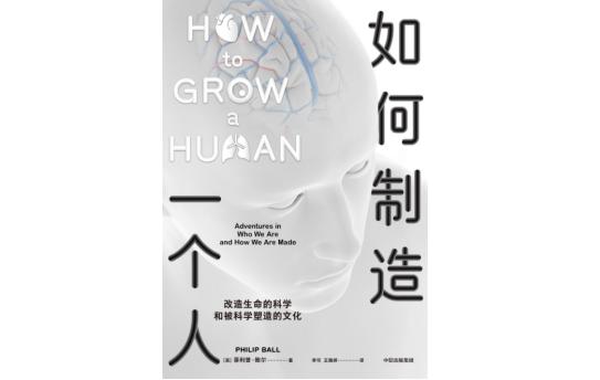 人造肥胖(人造肥料怎么做)