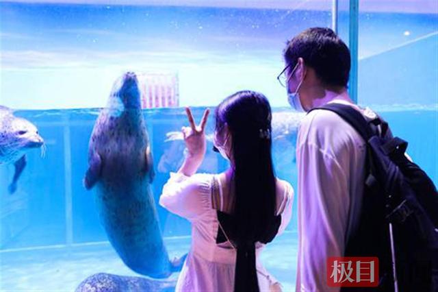 盘点武汉旅游印象最深的地方，武汉入围全国最热门十大目的地