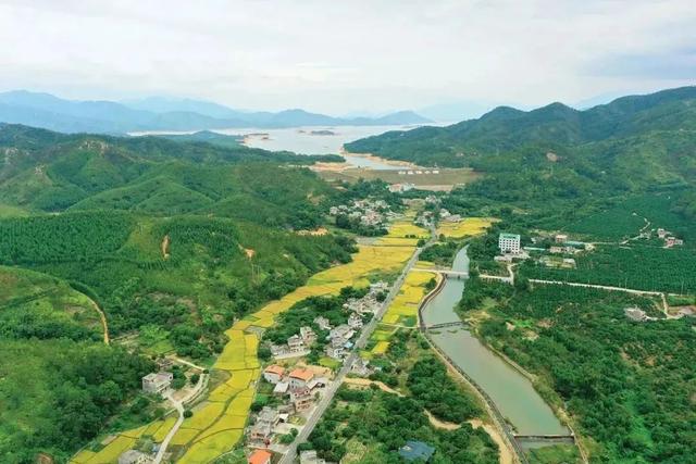 惠东旅游景点介绍，打造以九龙峰和大南山为核心的旅游胜地