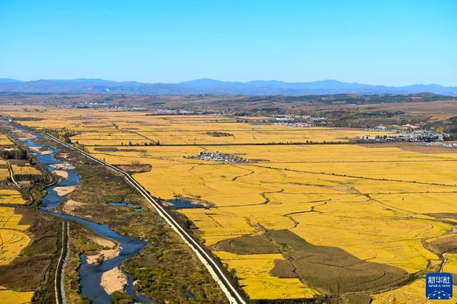 延吉海兰江花海，海兰江畔稻花香