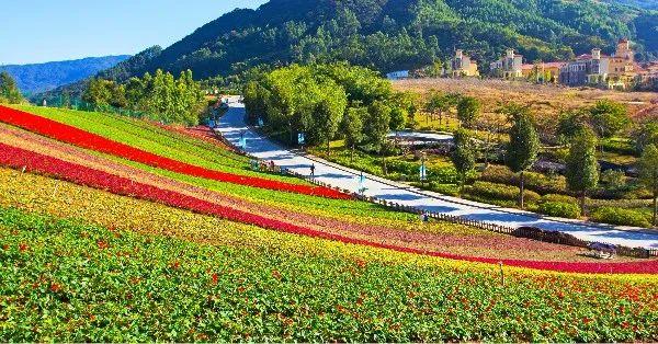 漳州五一周边旅游景点推荐，漳州爸妈不能不知道的带娃神地