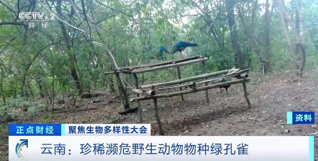 国家保护动物大全，54种非国家重点保护野生动物（中国国家重点保护野生动物名录）