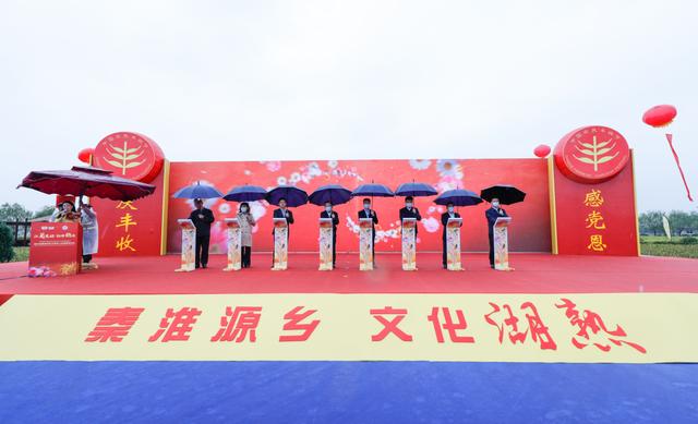 世界最美菊花80种太美了，金秋十月赏菊花——世界最美菊花80种送给您