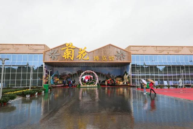 世界最美菊花80种太美了，金秋十月赏菊花——世界最美菊花80种送给您