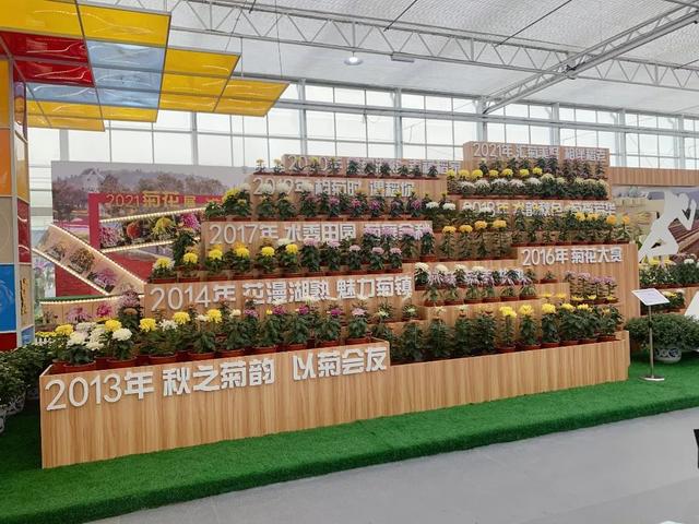 世界最美菊花80种太美了，金秋十月赏菊花——世界最美菊花80种送给您