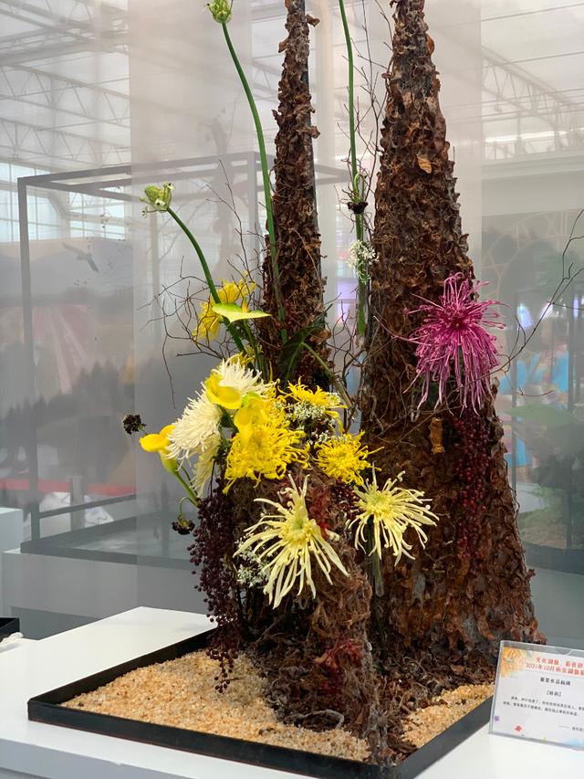 世界最美菊花80种太美了，金秋十月赏菊花——世界最美菊花80种送给您