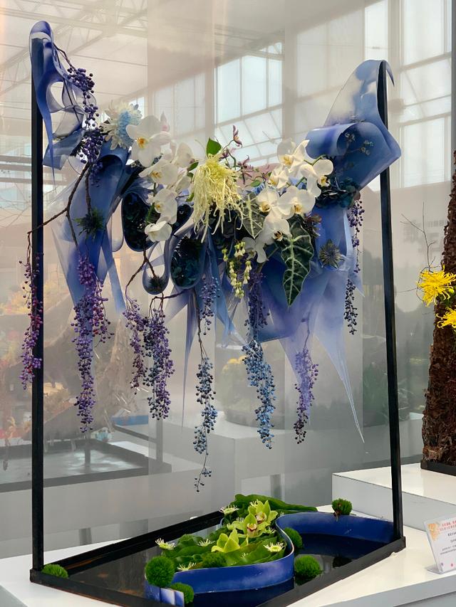 世界最美菊花80种太美了，金秋十月赏菊花——世界最美菊花80种送给您