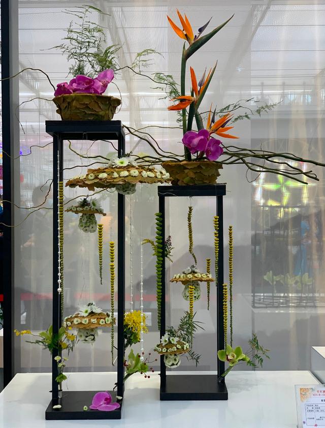 世界最美菊花80种太美了，金秋十月赏菊花——世界最美菊花80种送给您