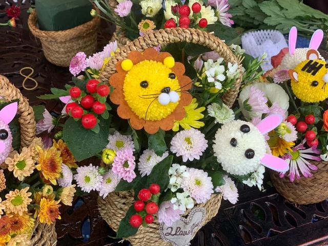 世界最美菊花80种太美了，金秋十月赏菊花——世界最美菊花80种送给您