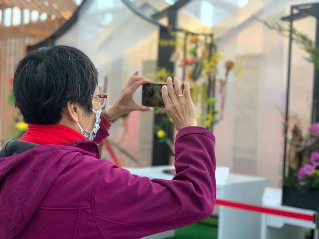 世界最美菊花80种太美了，金秋十月赏菊花——世界最美菊花80种送给您