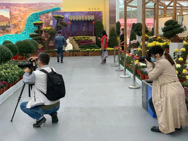 世界最美菊花80种太美了，金秋十月赏菊花——世界最美菊花80种送给您