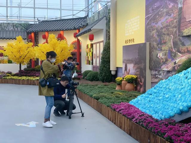 世界最美菊花80种太美了，金秋十月赏菊花——世界最美菊花80种送给您