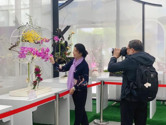 世界最美菊花80种太美了，金秋十月赏菊花——世界最美菊花80种送给您