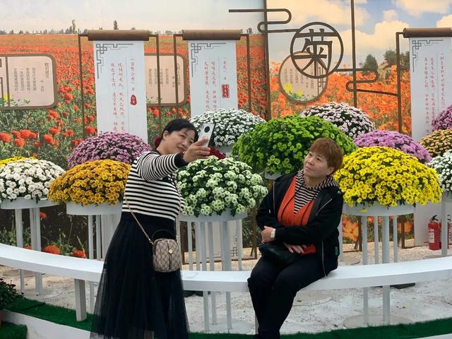 世界最美菊花80种太美了，金秋十月赏菊花——世界最美菊花80种送给您