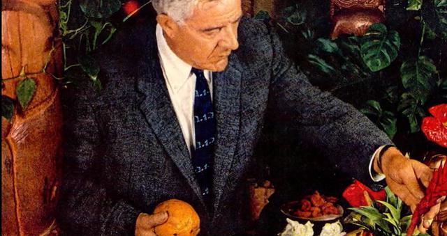 油纸伞为什么是神秘的，童年蛋糕上的小纸伞究竟有什么来头