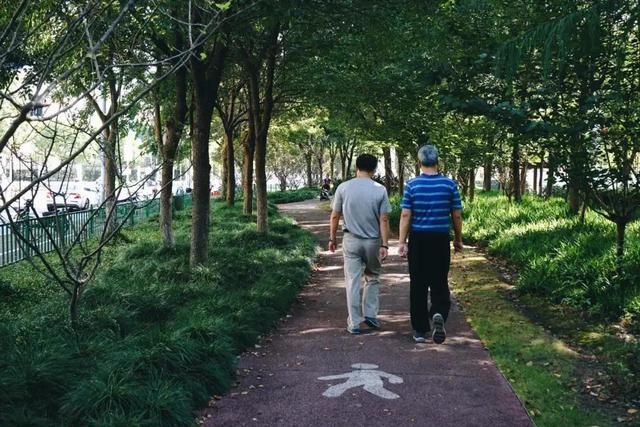 上海顾村公园游览，这两条推荐路线了解下→
