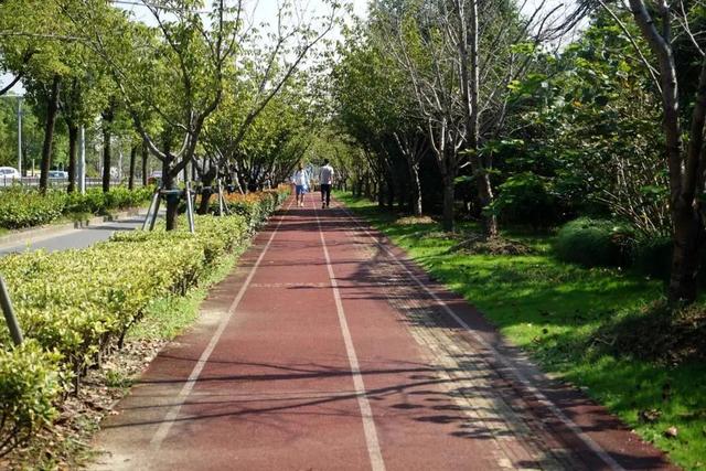 上海顾村公园游览，这两条推荐路线了解下→