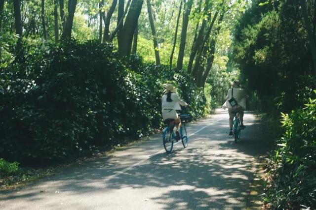 上海顾村公园游览，这两条推荐路线了解下→