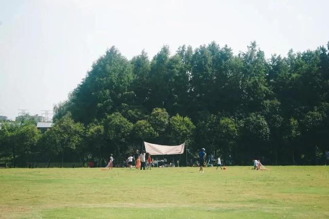 上海顾村公园游览，这两条推荐路线了解下→