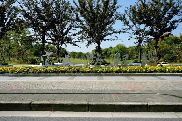 上海顾村公园游览，这两条推荐路线了解下→