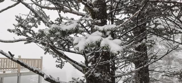 成都西岭上下雪了吗，西岭雪山降下成都今年第一场雪