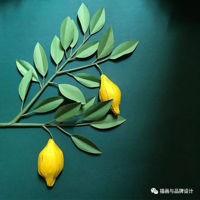 纸雕作品半立体简单，手作超乎想象的纸雕艺术