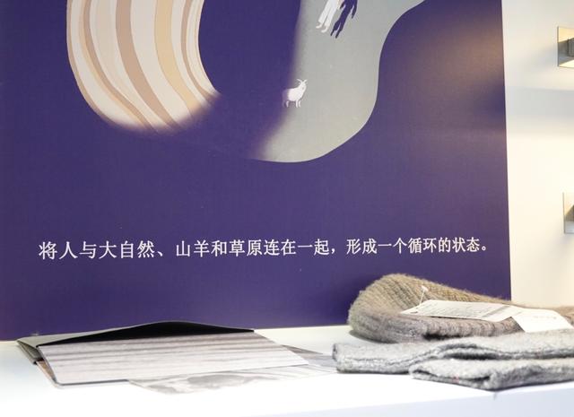 鄂尔多斯1980和erdos区别，鄂尔多斯羊绒简介（鄂尔多斯的新计划从一场沙漠大秀开始）