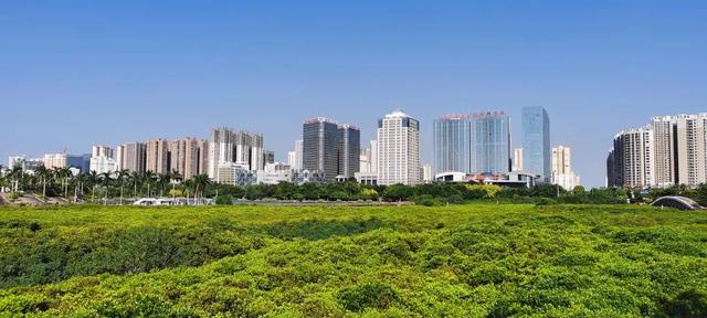 防城港夜间旅游攻略，防城港这些地方值得走一走......