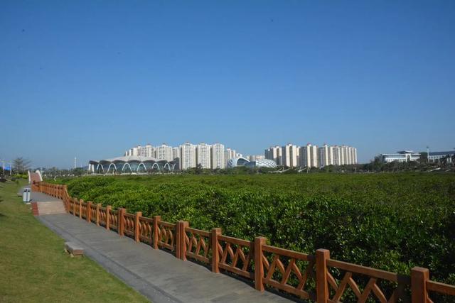 防城港夜间旅游攻略，防城港这些地方值得走一走......