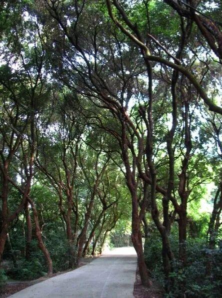 防城港夜间旅游攻略，防城港这些地方值得走一走......