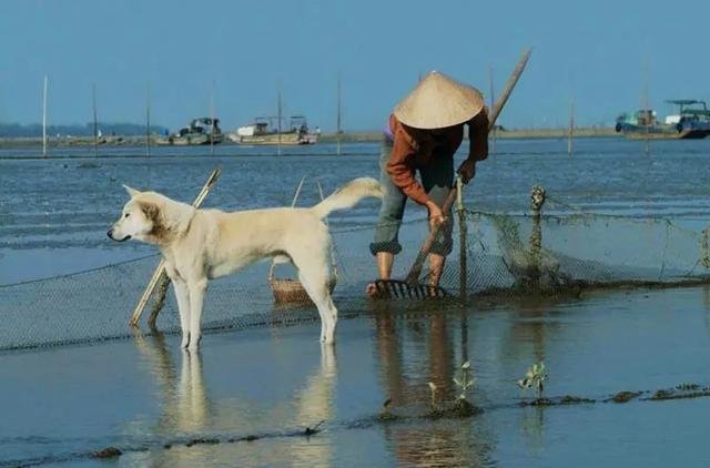 防城港夜间旅游攻略，防城港这些地方值得走一走......
