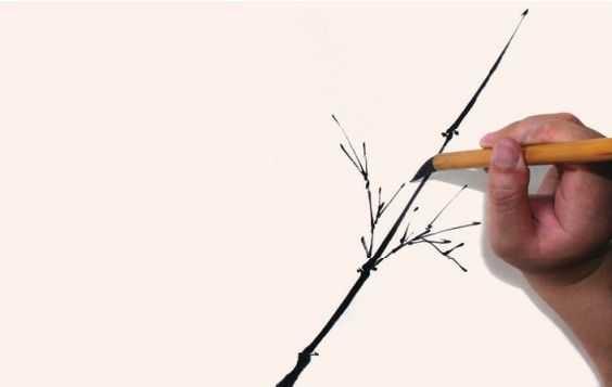 国画竹子的竹枝怎么画，国画竹竿竹枝画法