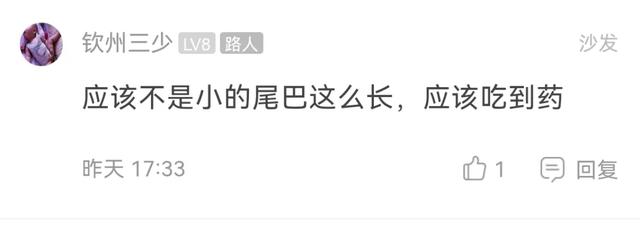 野生的咕咕鸟吃果实还是泡水喝，咕咕咕咕咕咕